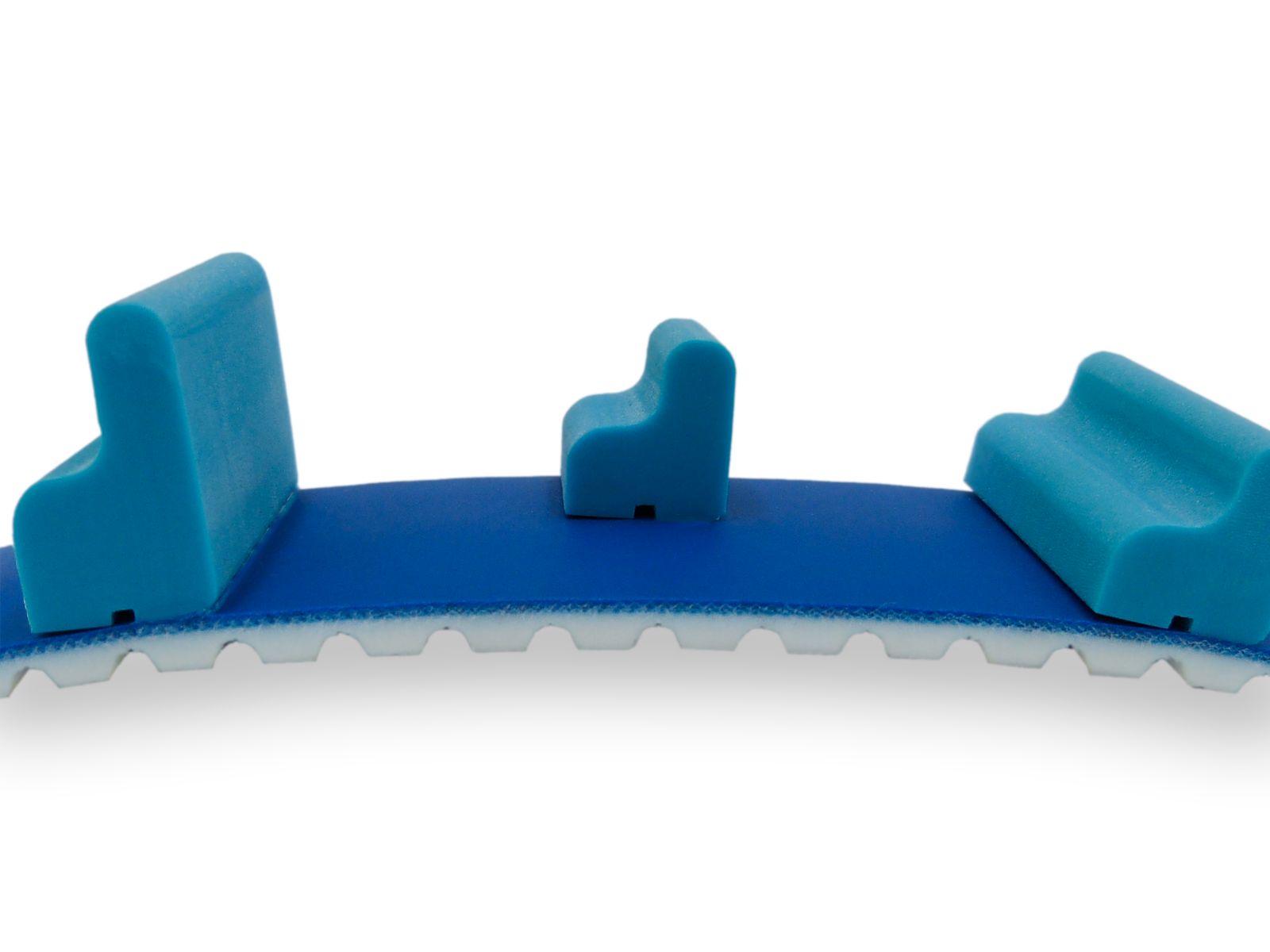 Cinghia dentata AT10 con rivestimento blu e tasselli sagomati in PU a norme FDA